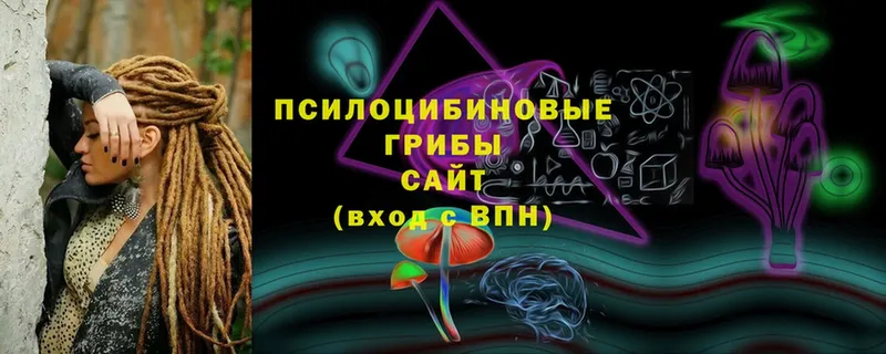 Псилоцибиновые грибы Шагонар