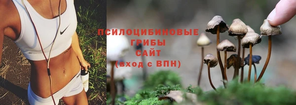 MESCALINE Магадан
