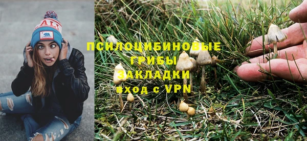 2c-b Сосновка