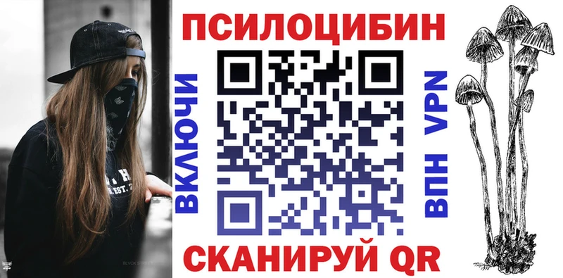 Псилоцибиновые грибы Psilocybe  blacksprut онион  Шагонар 