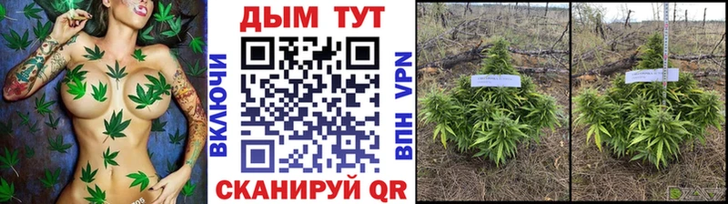 Конопля индика  закладка  OMG как зайти  Шагонар 